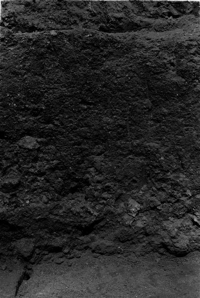 000032 - scavo archeologico - Palatino, Roma quadrata, scavo Vaglieri (?) alle Scalae Caci; senza negativo