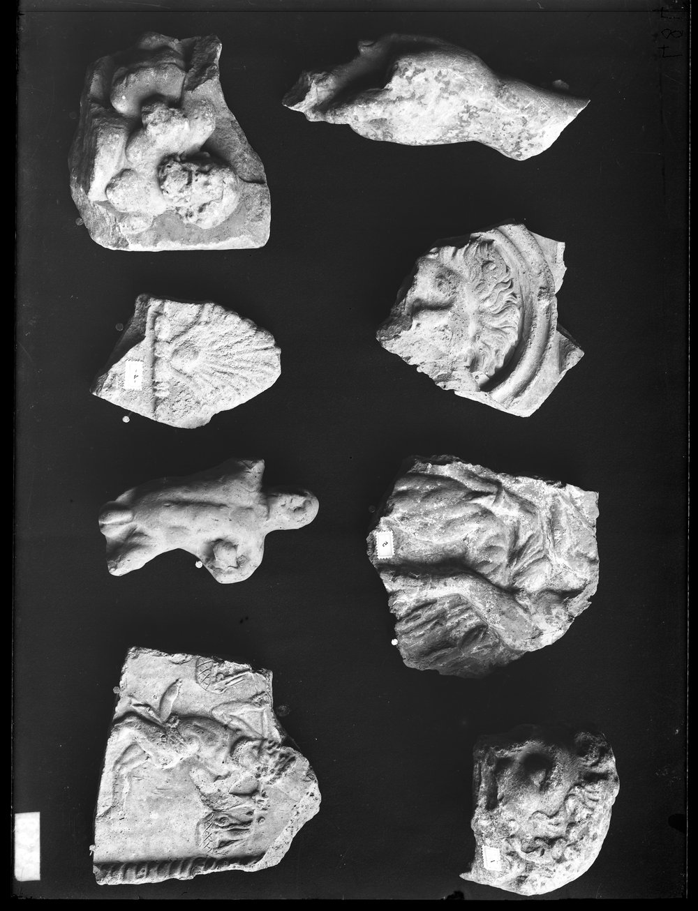 Lastra E2368 Antiquario Forense.tif