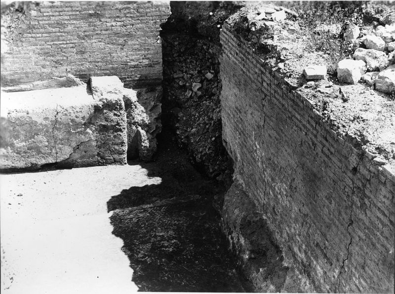 015450 - monumento - Foro Romano, Horrea Agrippiana, particolare di murature; neg. serie E, n. 1870