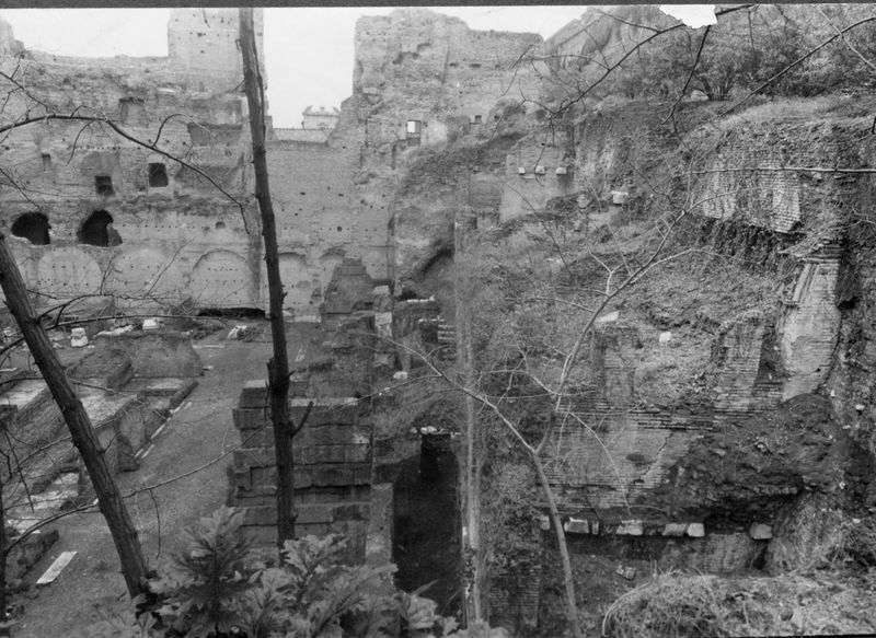 015514 - monumento - Foro Romano, Horrea Agrippiana; neg. serie 6x6, n. 2947
