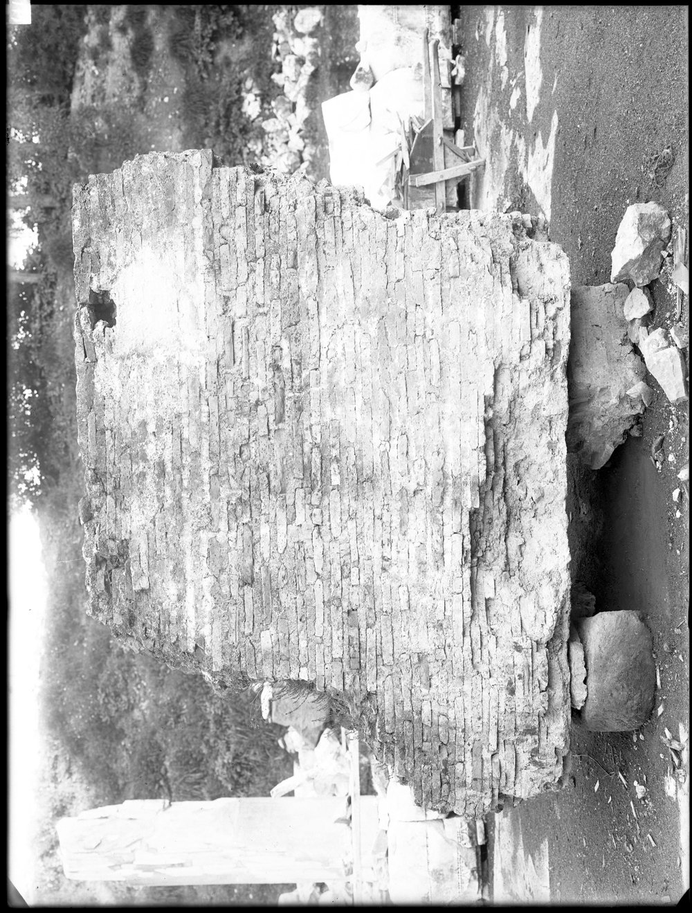 Lastra E-1175, Basilica Emilia.JPG