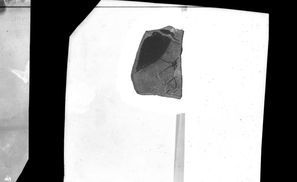 T-M185.JPG