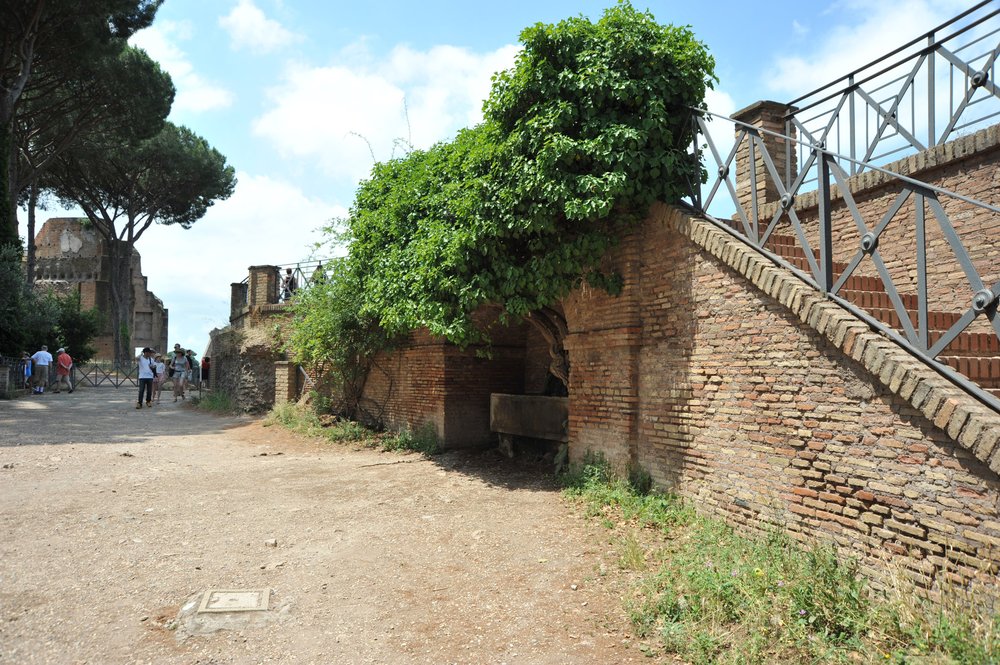 DSC_3507.JPG
