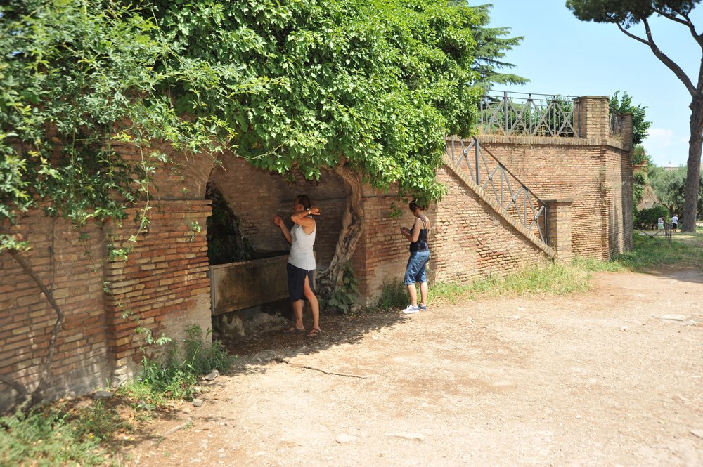 DSC_3513.JPG