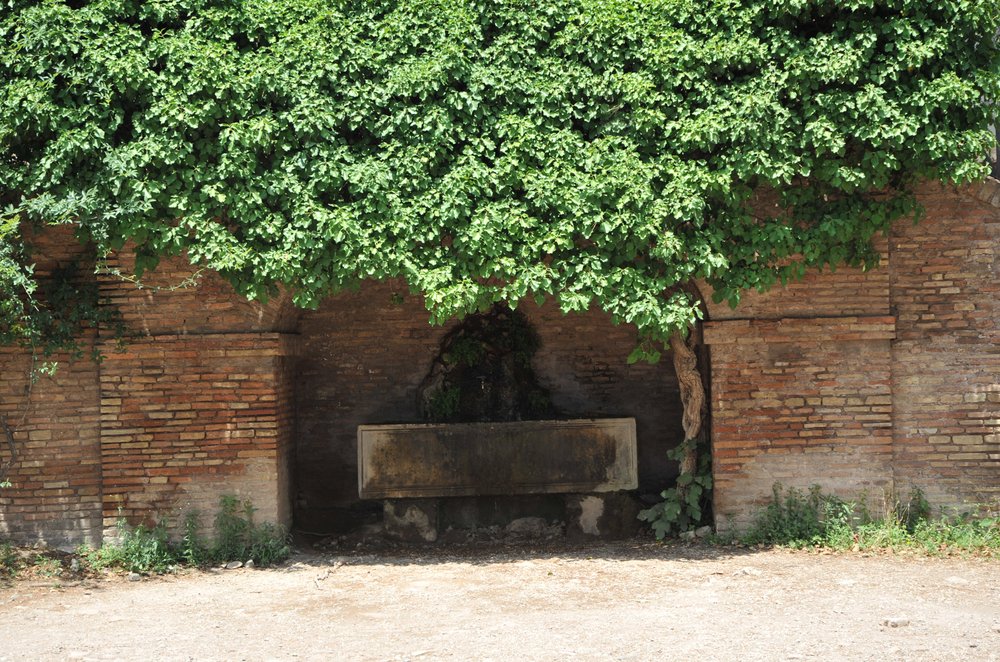 DSC_3510.JPG