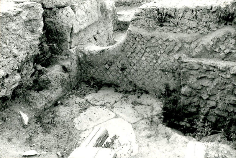 002730 - scavo archeologico - Casa Repubblicana a fianco delle Scalae Caci (sud-ovest della Casa di Livia), scavi Carettoni del 1956. Settore M 3 con resti di selciato stradale (basolato) e muro in opera reticolata. Neg. serie Film nÂ° 91

Bibliografia: Caretton, G.F. NsC 1967 pp. 287 e ss.