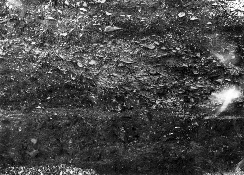 011535 - scavo archeologico - Basilica Emilia, scavo 1947, aula centrale: particolare della stratificazione in scaglie marmoree sotto il pavimento imperiale. Neg. serie 9x12 nÂ° 343