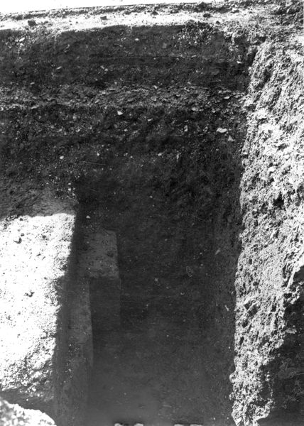011536 - scavo archeologico - Basilica Emilia, scavo 1947, aula centrale: particolare della stratificazione in scaglie marmoree sotto il pavimento imperiale. Neg. serie 9x12 nÂ° 340