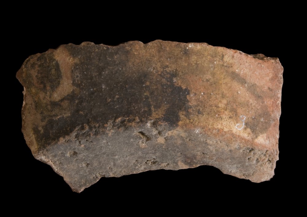 563606.tif