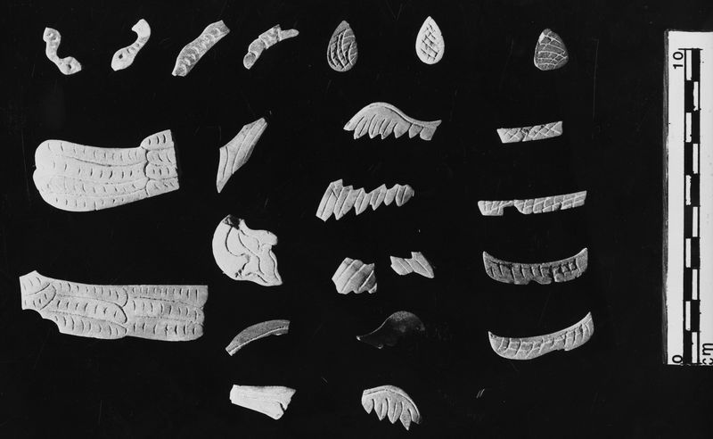 005854 - reperto - Crustae marmoree parietali raffiguranti ali di Eroti. Il materiale di cui si compongono Ã¨ giallo antico. Bibliografia di riferimento: "Museo Palatino, le Collezioni" a cura di M.T. Tomei e C. Gasparri, Electa 2014 pp. 190-194. Neg. serie Film nÂ° 2478