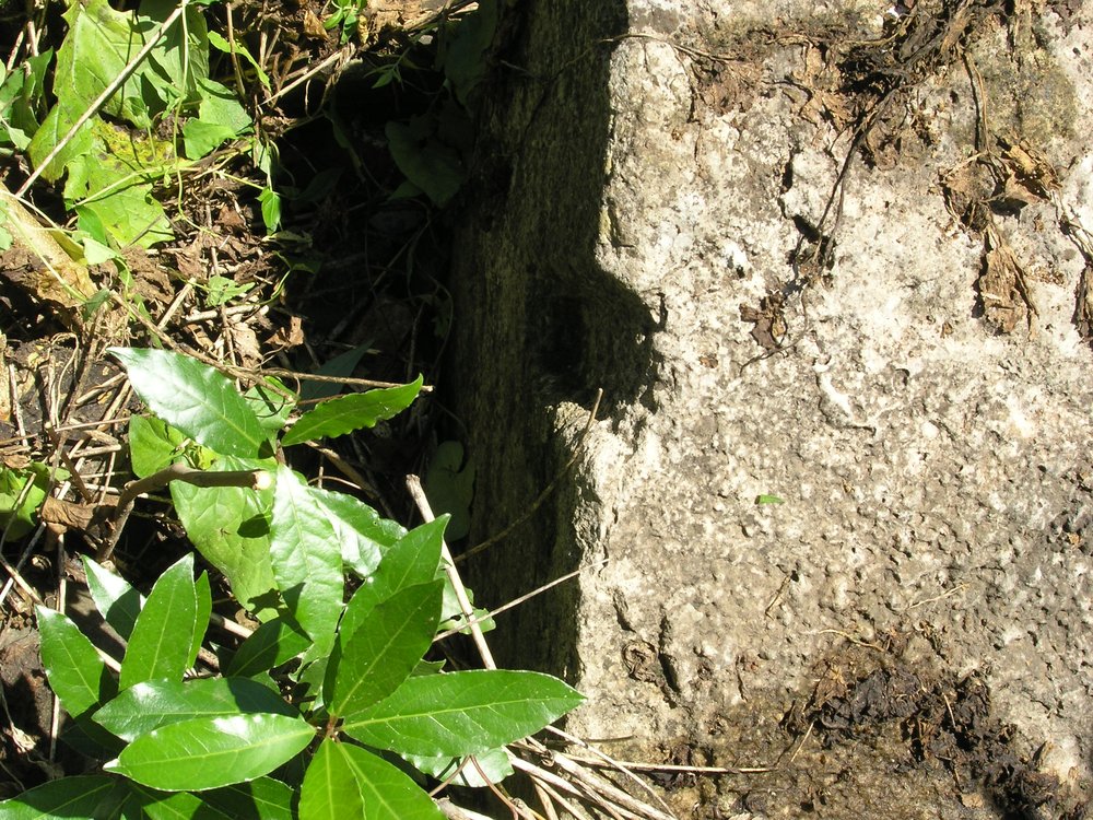 P1010176.JPG