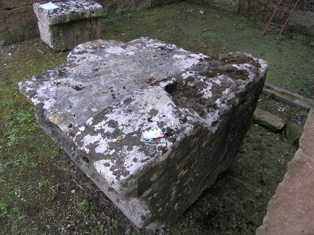 P1010048.JPG