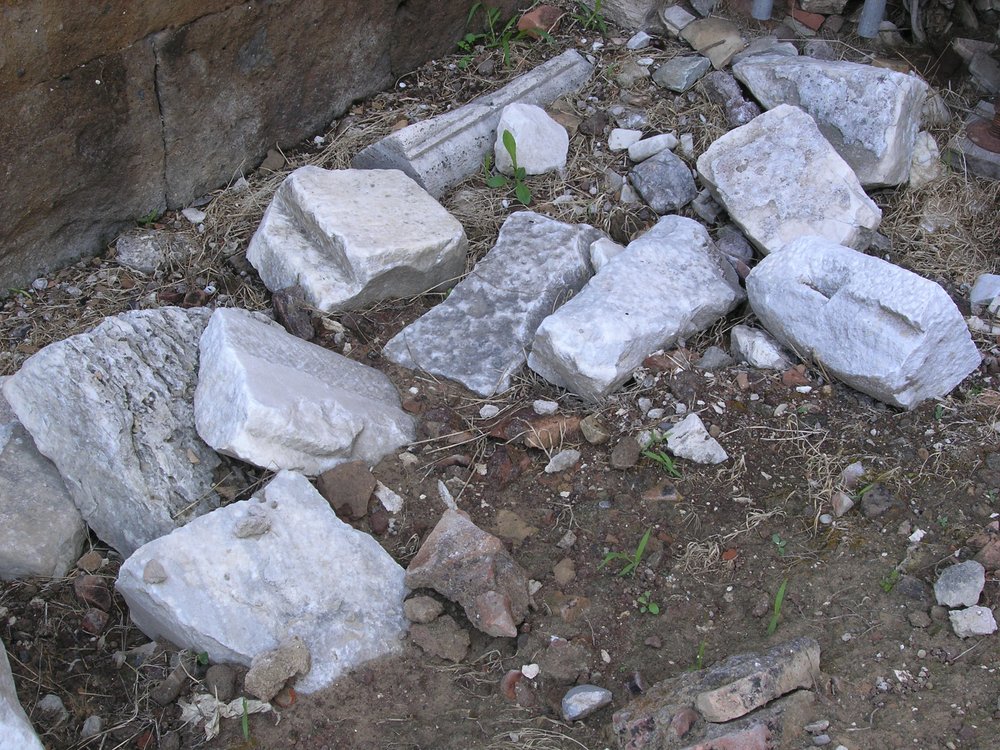 P1010126.JPG