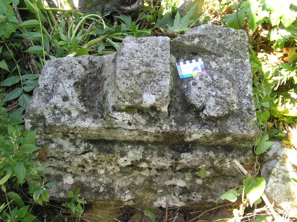 P1010168.JPG