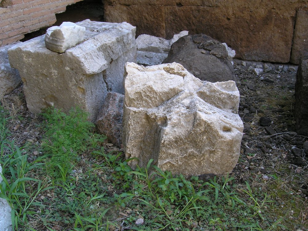 P1010096.JPG