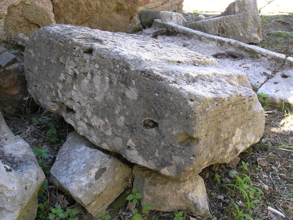 P1010152.JPG