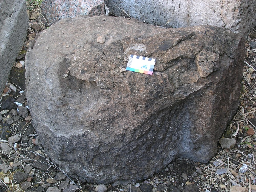 P1010022.JPG
