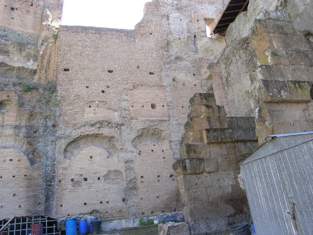 P1010146.JPG