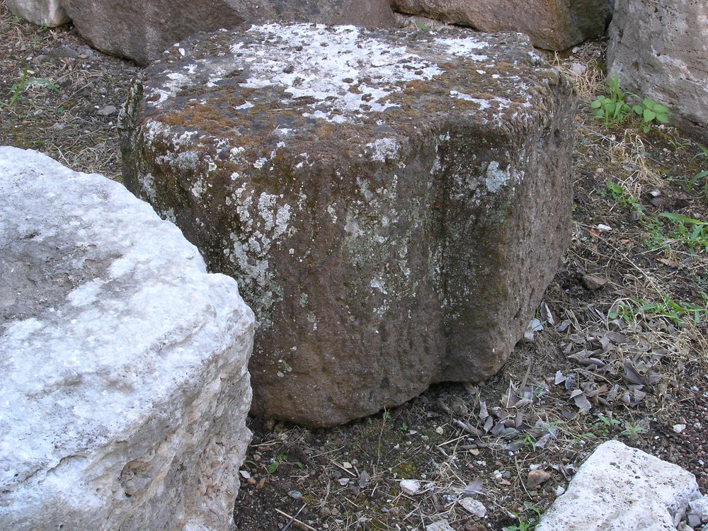 P1010026.JPG