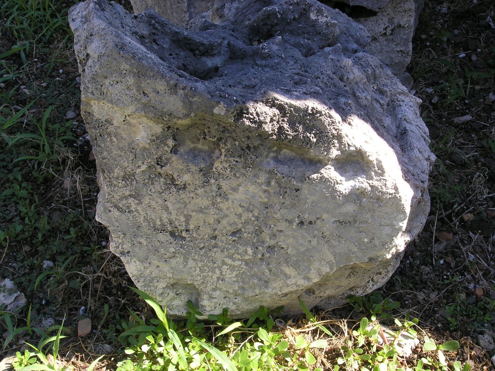 P1010072.JPG