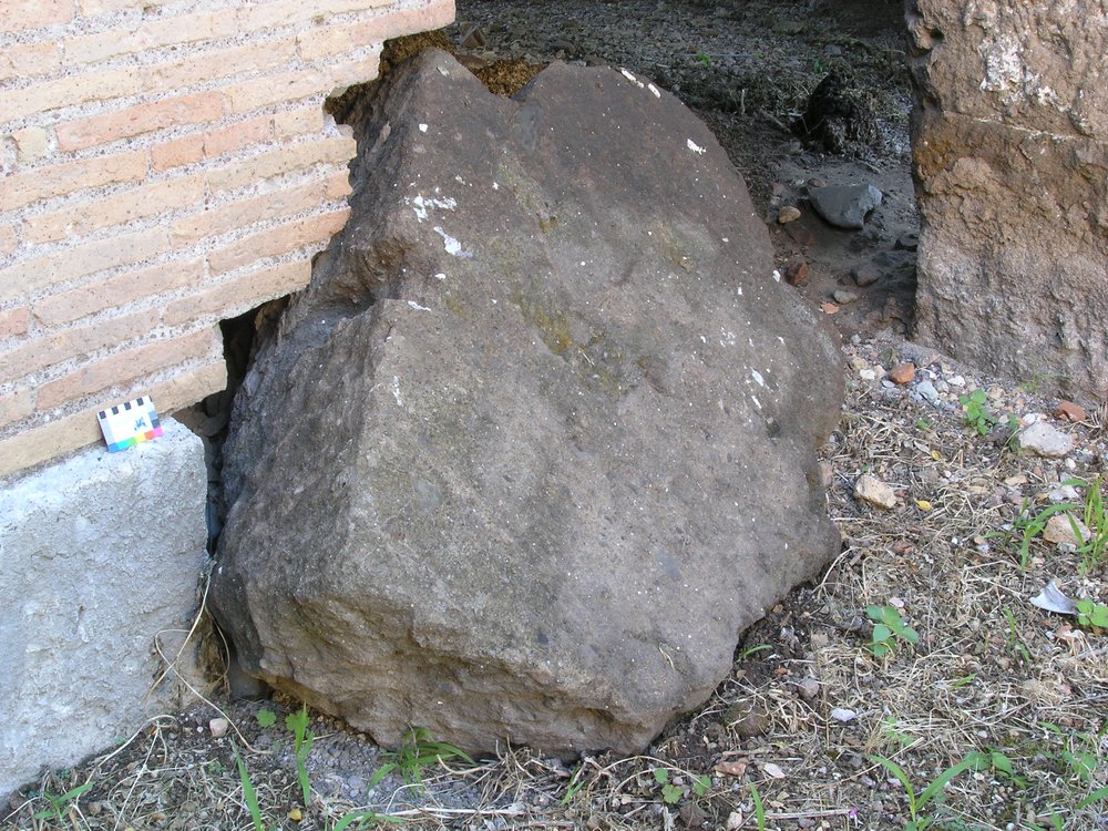 P1010028.JPG