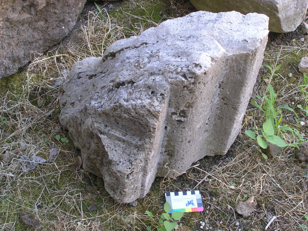 P1010084.JPG