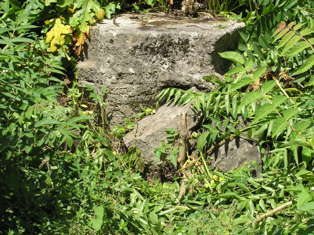 P1010186.JPG
