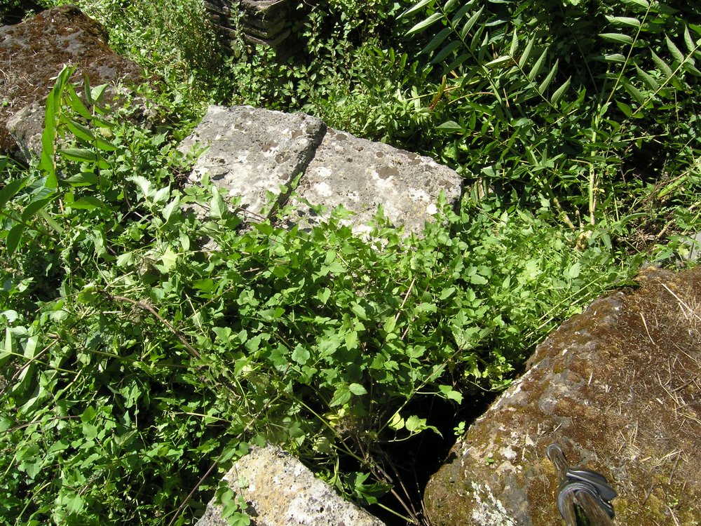P1010189.JPG