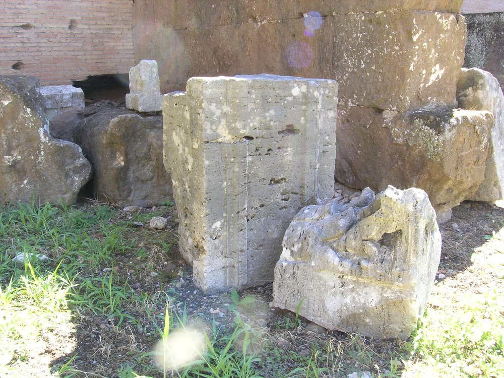 P1010097.JPG