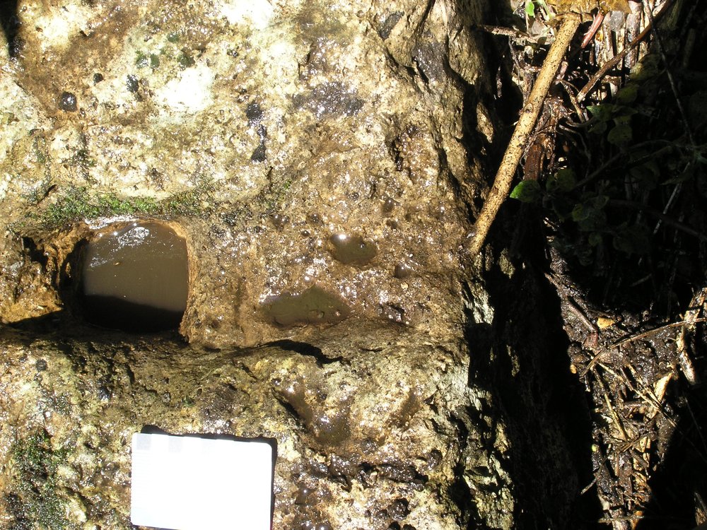 P1010184.JPG