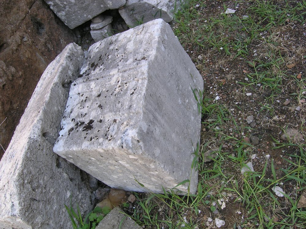 P1010121.JPG