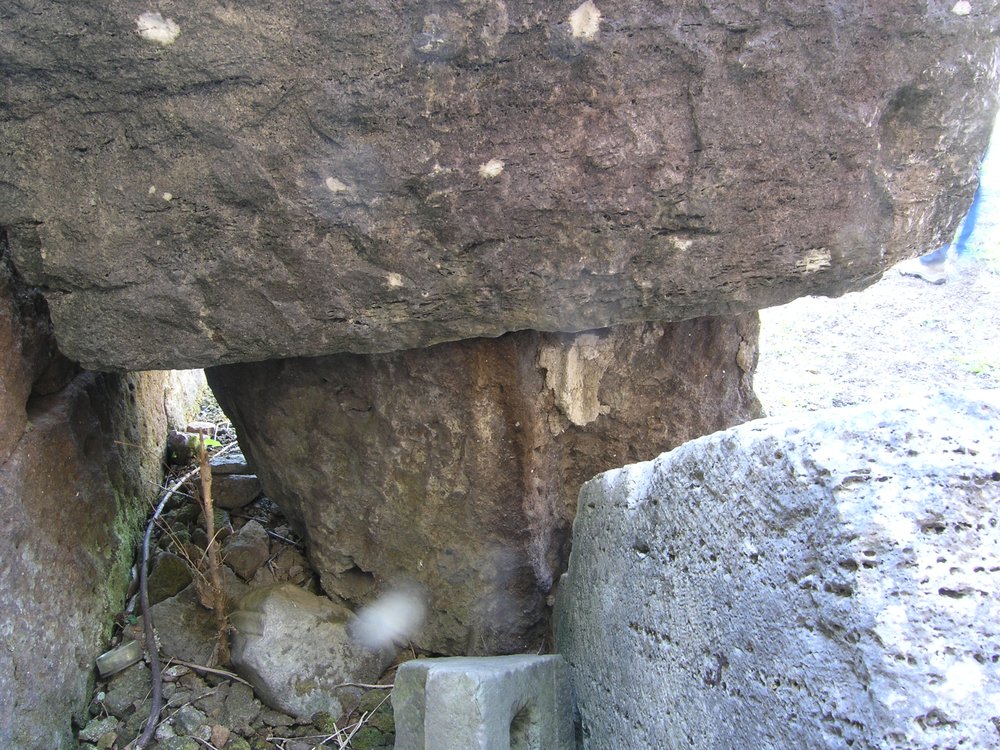 P1010064.JPG