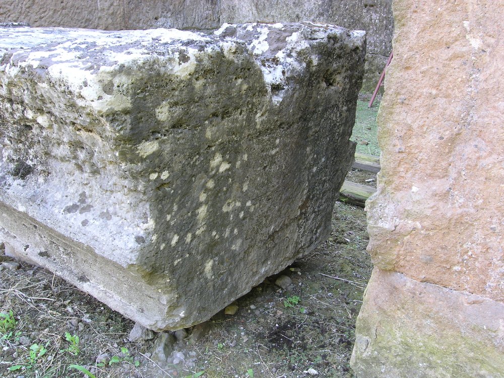 P1010051.JPG