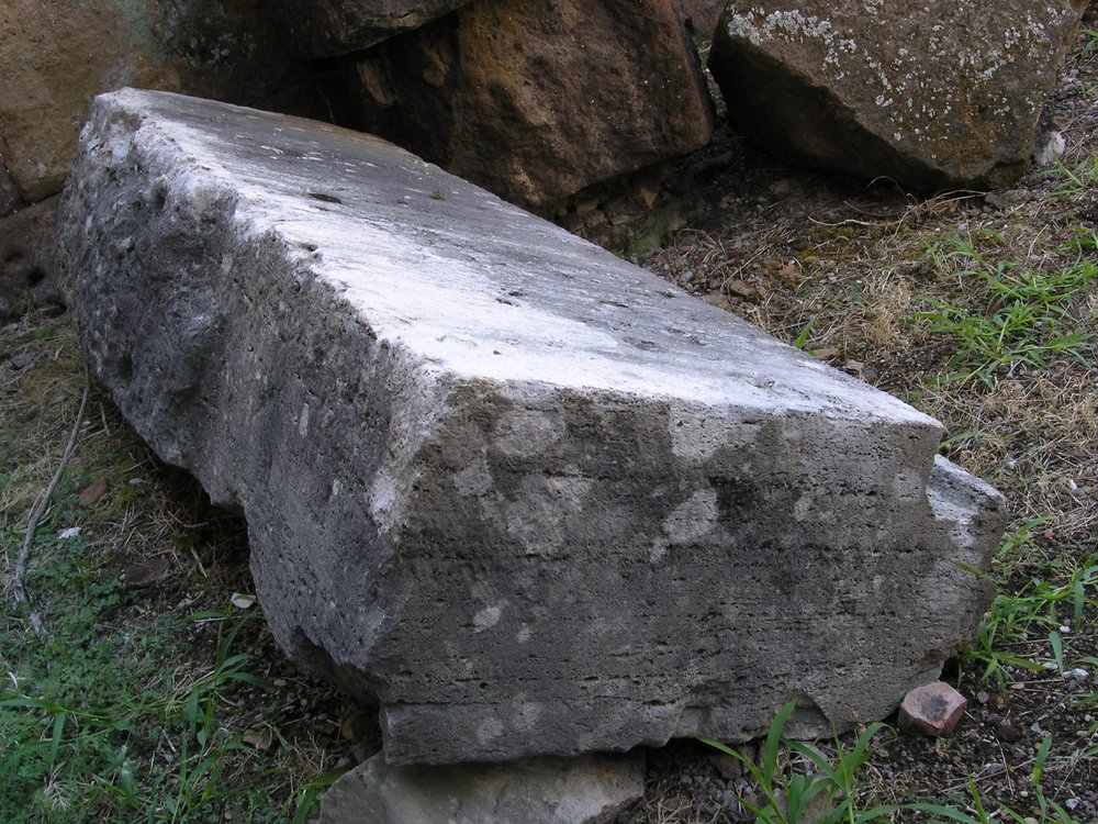 P1010117.JPG