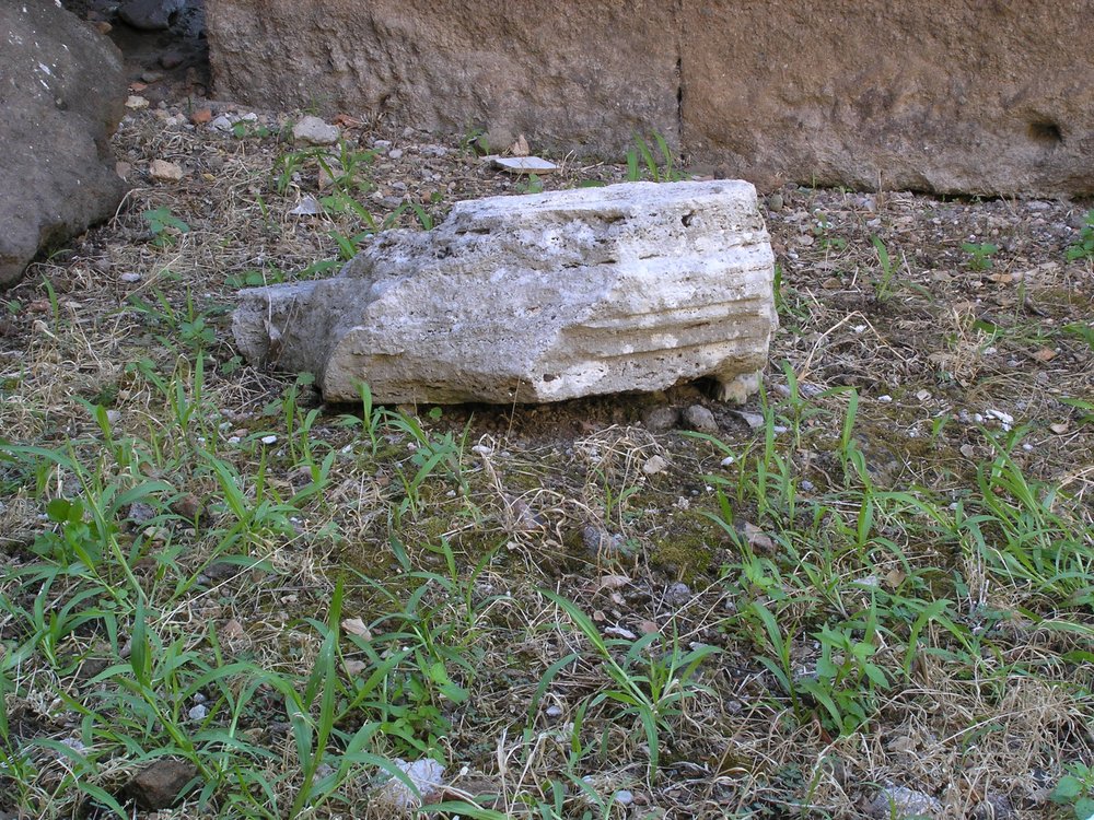 P1010100.JPG