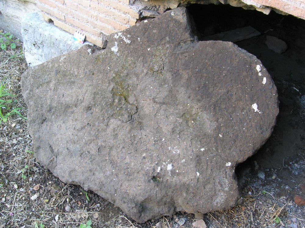 P1010029.JPG