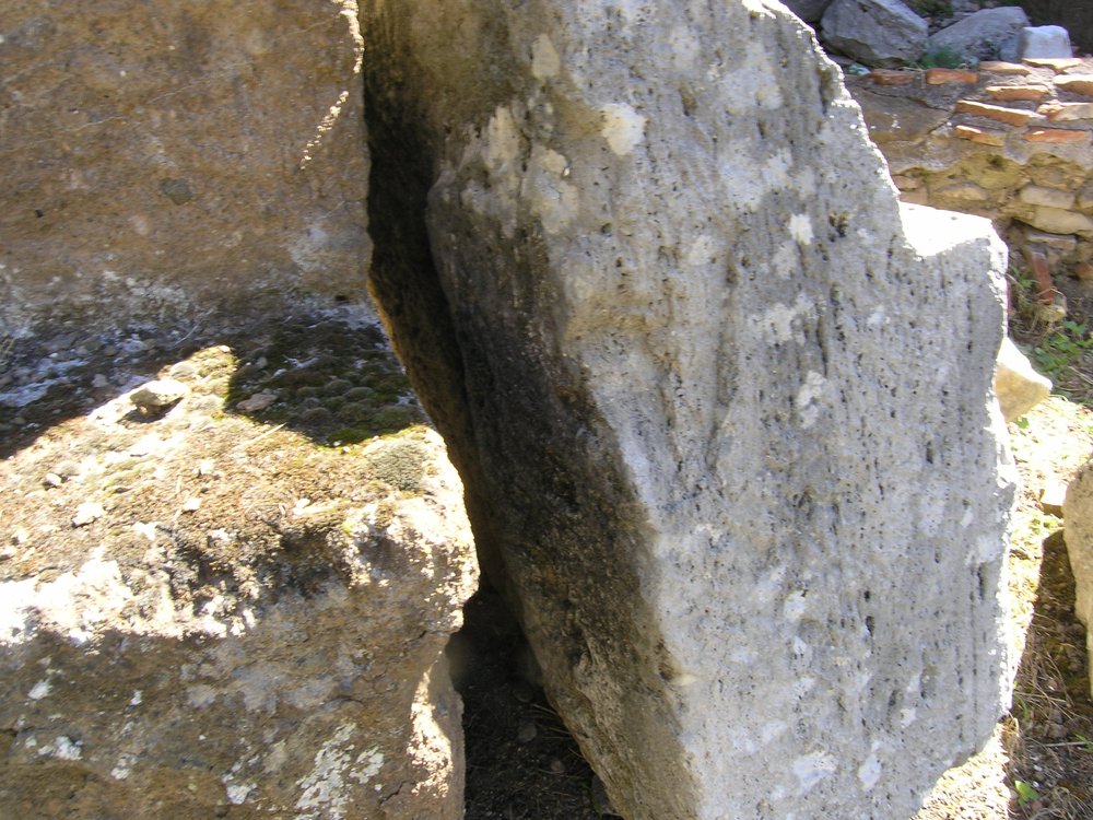 P1010104.JPG