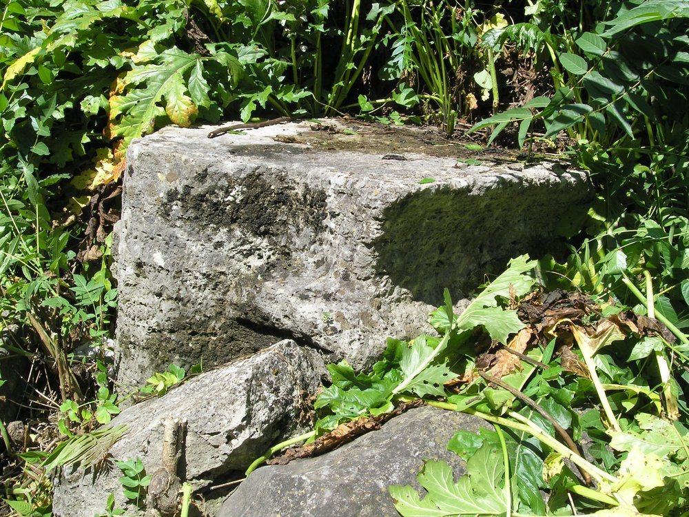 P1010162.JPG