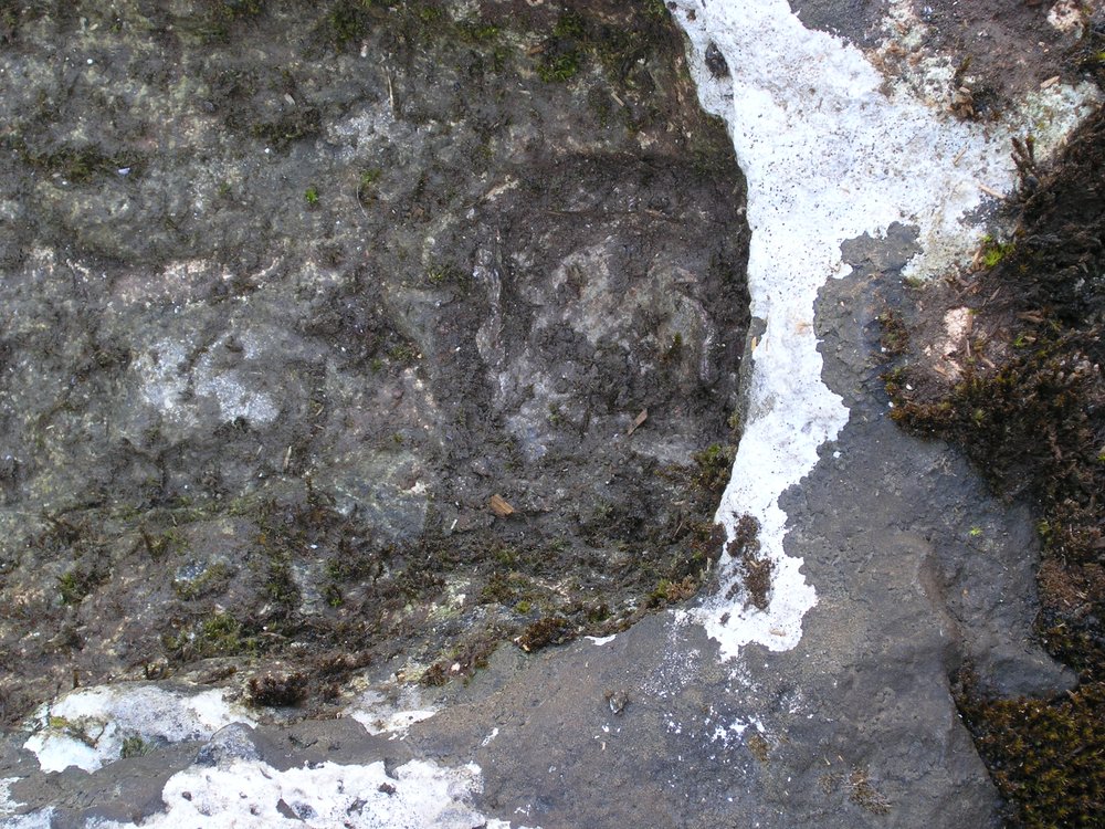 P1010045.JPG