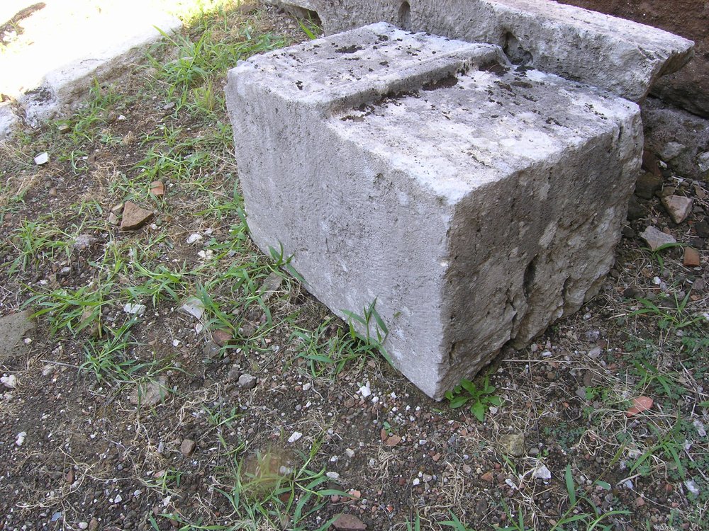 P1010122.JPG