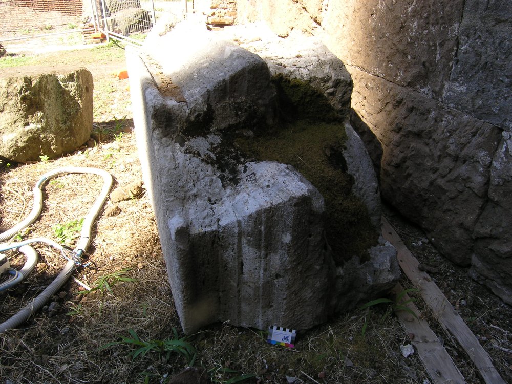 P1010101.JPG