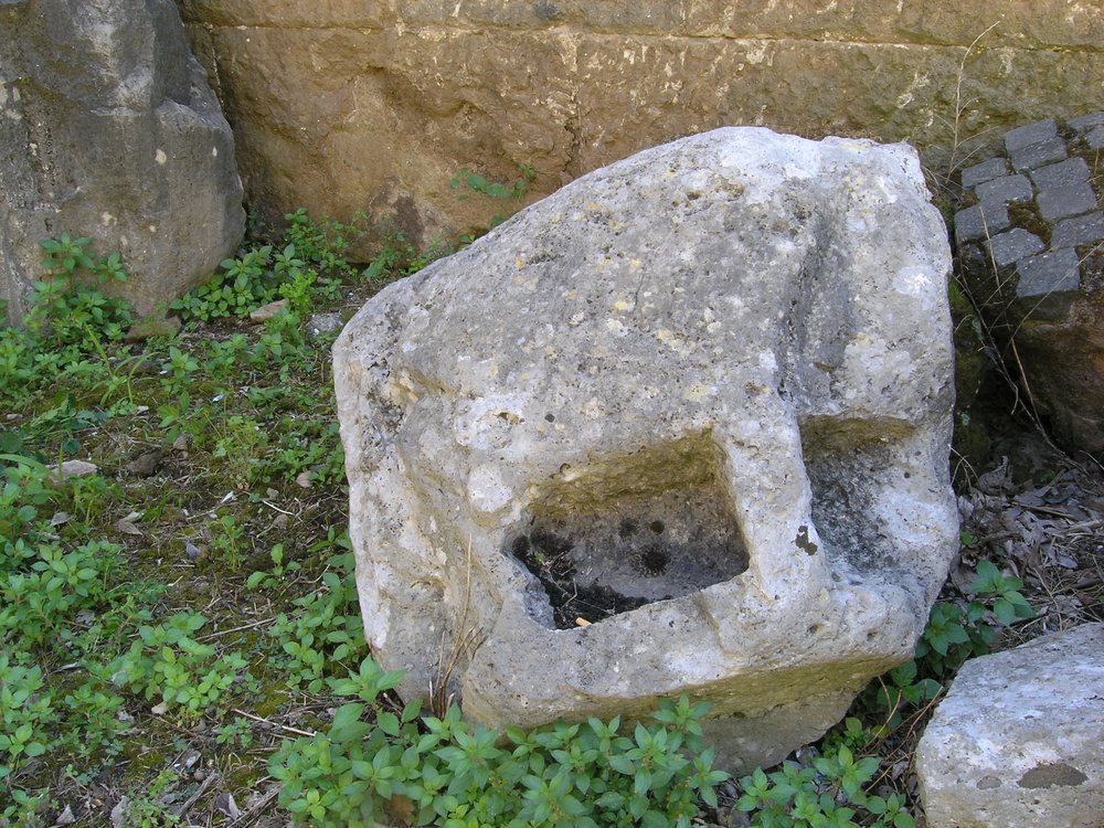 P1010154.JPG