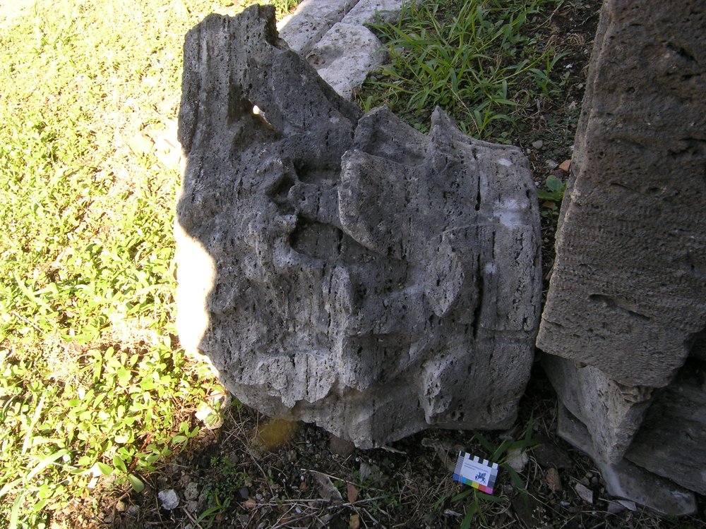 P1010069.JPG