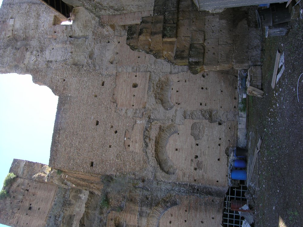 P1010145.JPG
