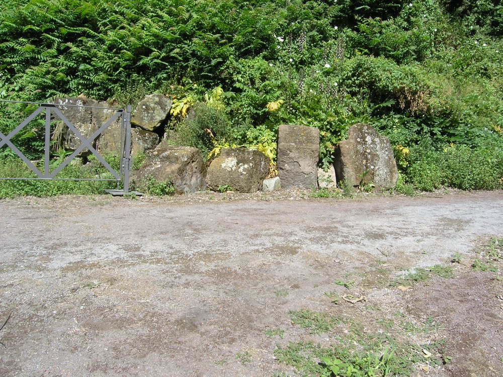 P1010159.JPG