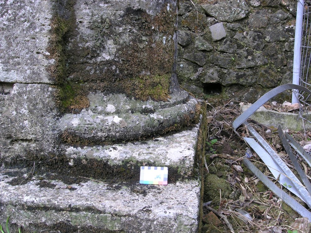 P1010008.JPG