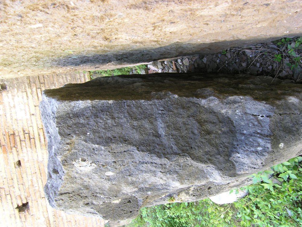 P1010157.JPG