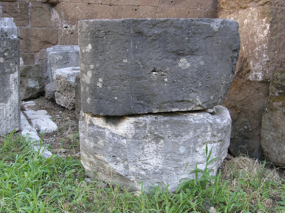 P1010018.JPG