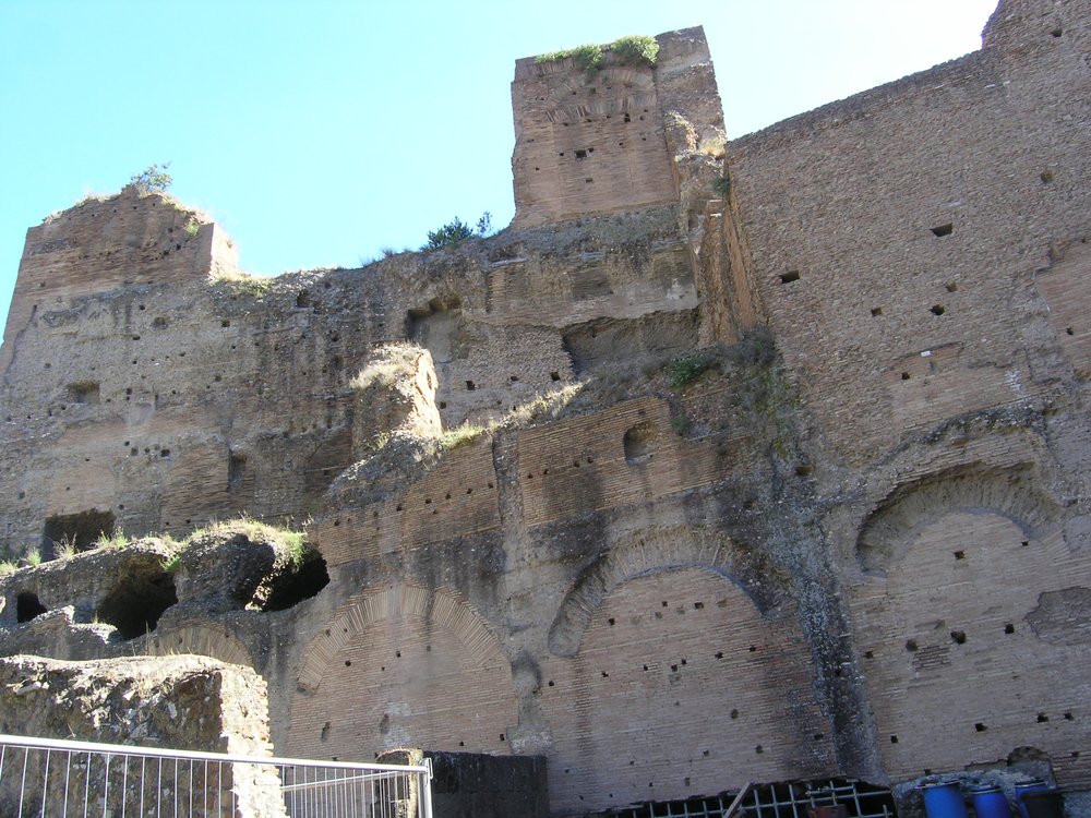 P1010147.JPG
