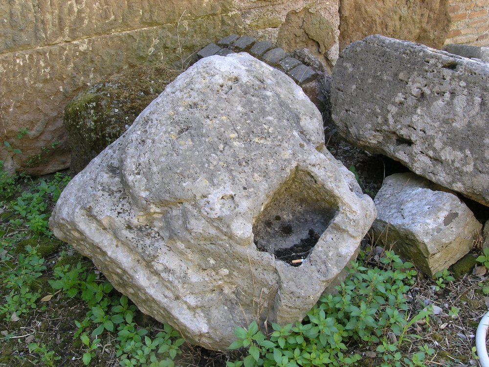 P1010153.JPG
